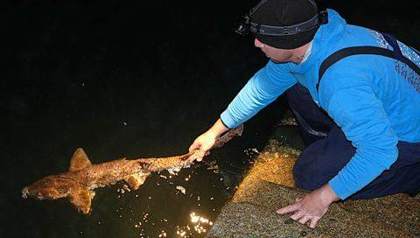 Alderney Angling Festival 2026