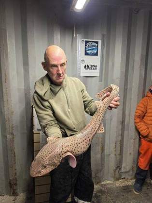 Alderney Angling Festival 2026